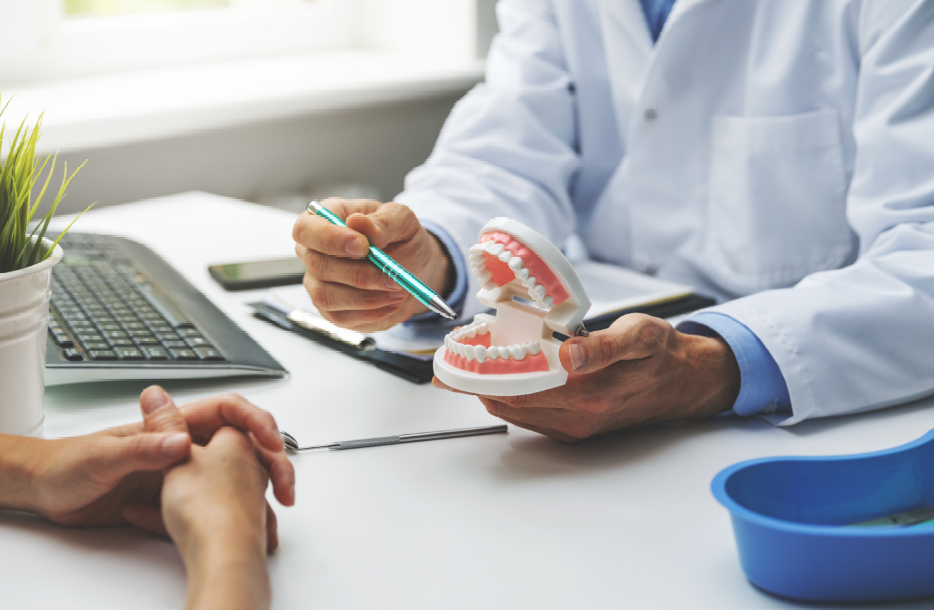 Dentist showing patient model teeth
